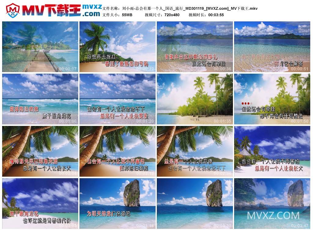 刘小雨-总会有那一个人_国语_流行_MD301119